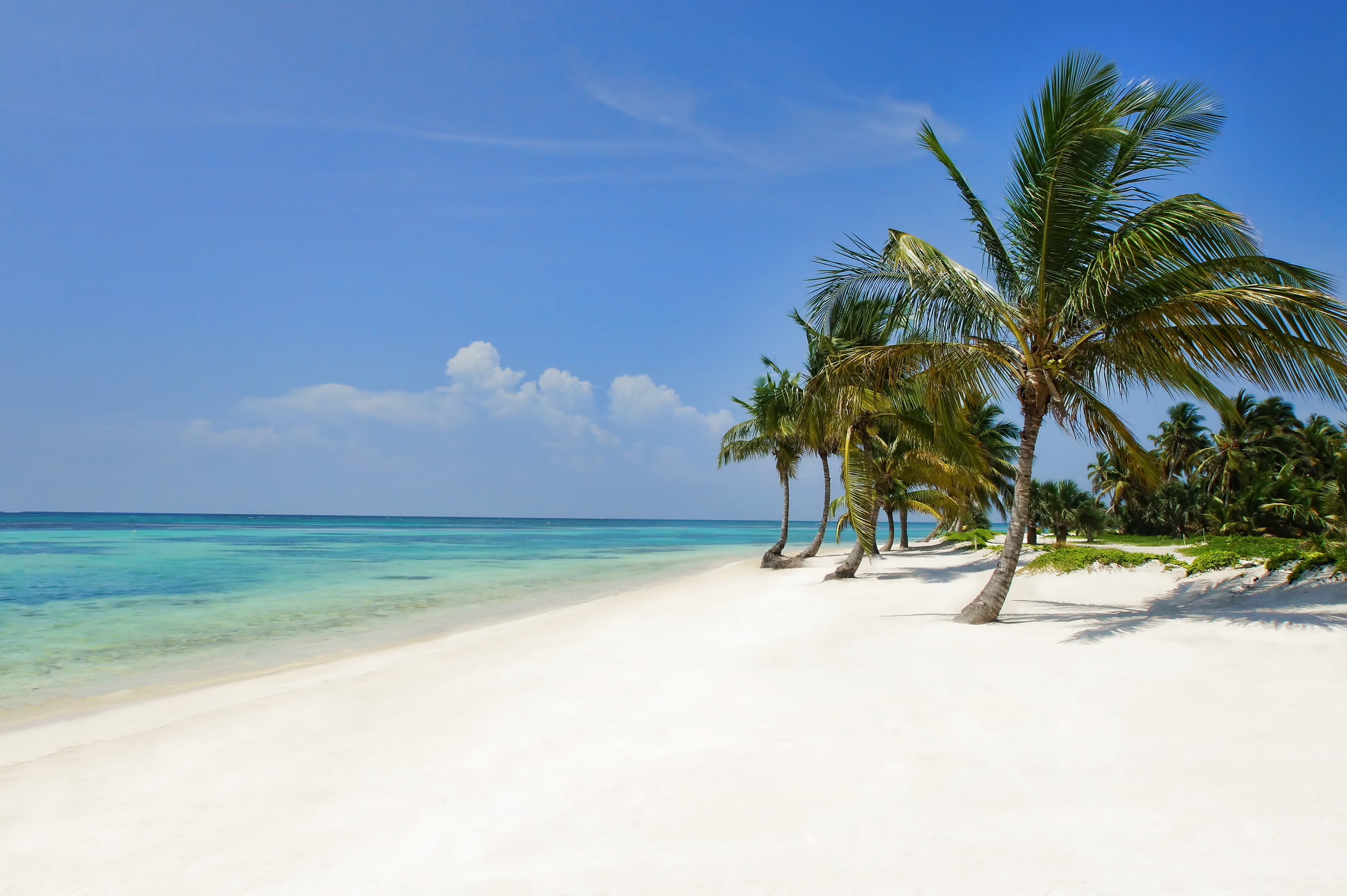 Пляж. Пляж Макао Пунта Кана. Пляж Макао Доминикана. Macao Playa Пунта Кана. Доминикана Пунта Кана пляж.